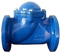 Cast iron ball check valve PN16