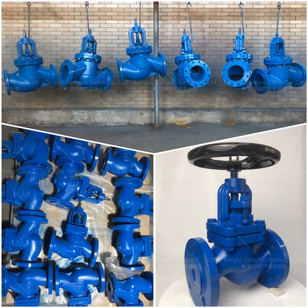 DIN PN16 lift check valve manufacturers