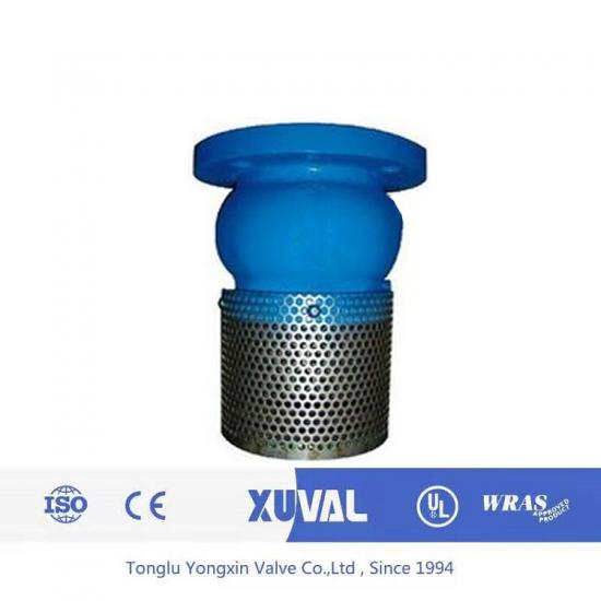 Cast iron Flanged Foot Valve end