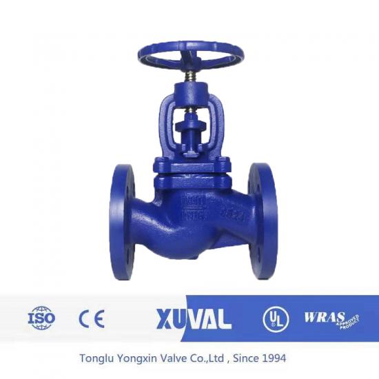 Cast iron globe valve