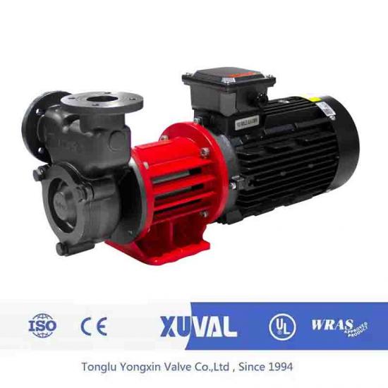High flow recovery pump