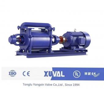 Water Ring Vacuum Pumps